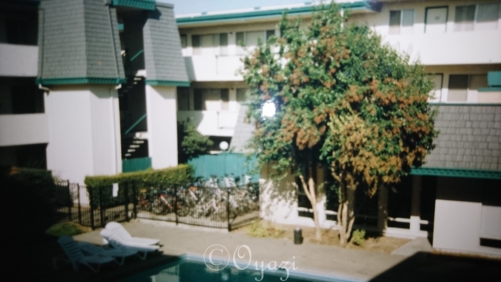 f:id:oyazirogu:20190129214457j:plain f:id:oyazirogu:20190129214457j:plain