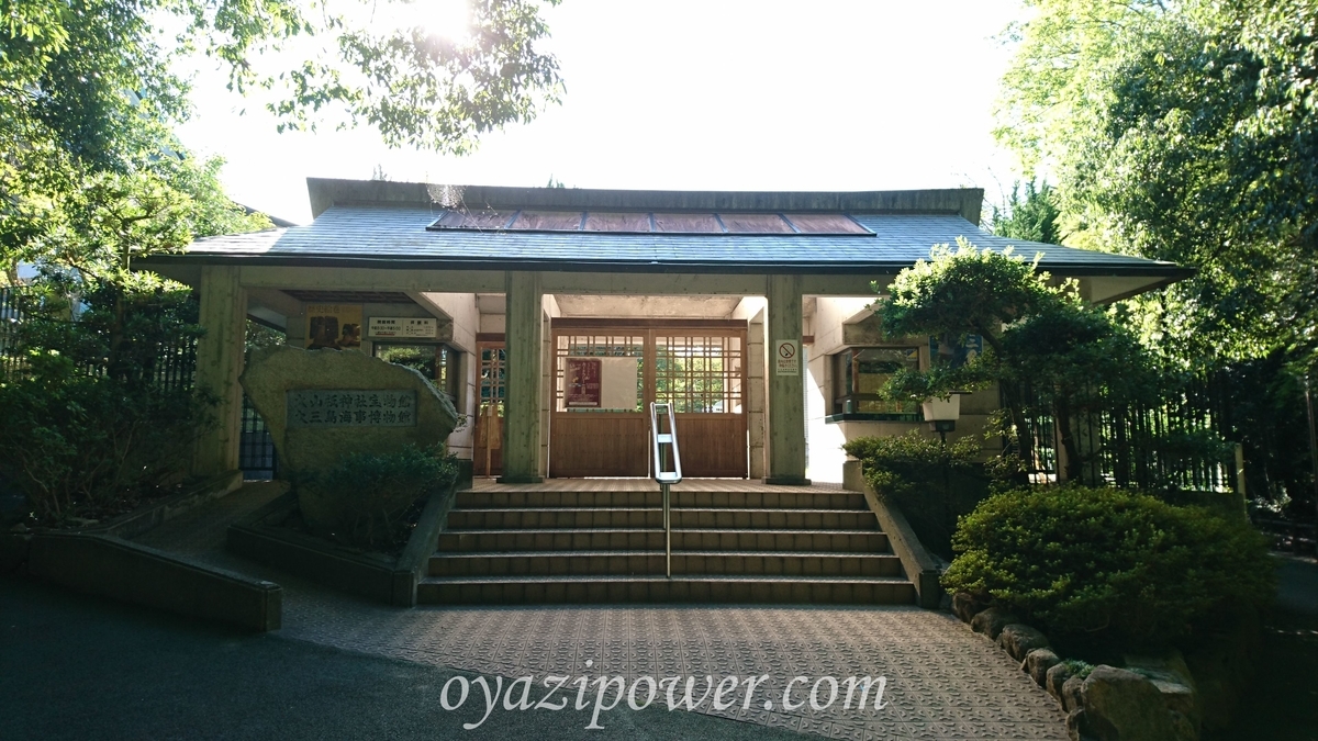 f:id:oyazirogu:20190917090331j:plain f:id:oyazirogu:20190917090331j:plain