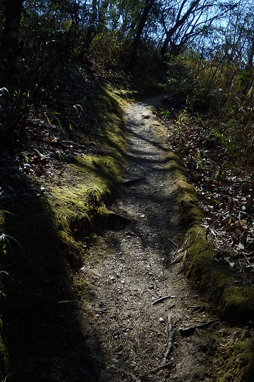 f:id:oyjphoto:20200220064010j:plain