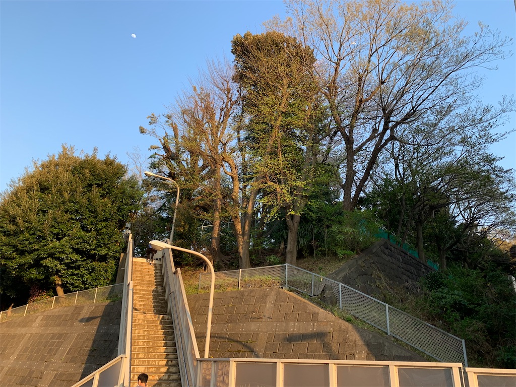 f:id:oyomoyo:20240912203254j:image