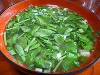 f:id:oyu-992:20130408224619j:image:left