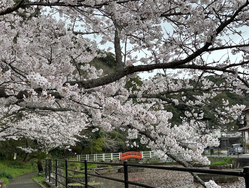 f:id:oyuse13:20260401194153j:image