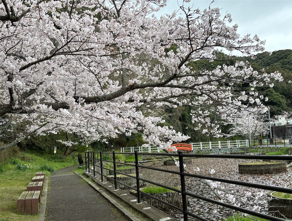 f:id:oyuse13:20260401200659j:image
