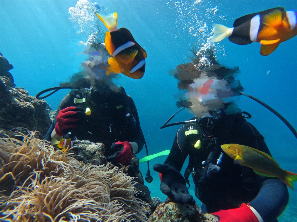 f:id:oyuyusan:20231129231833j:image