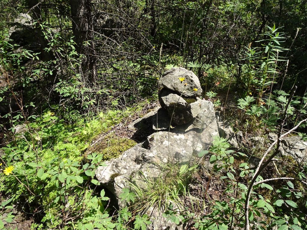 f:id:oyuzaru:20190818113949j:image