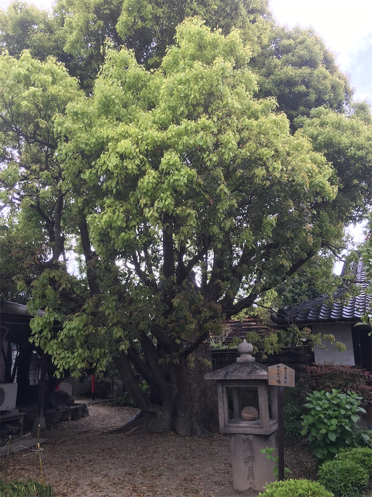 f:id:oyuzaru:20200422084337j:image
