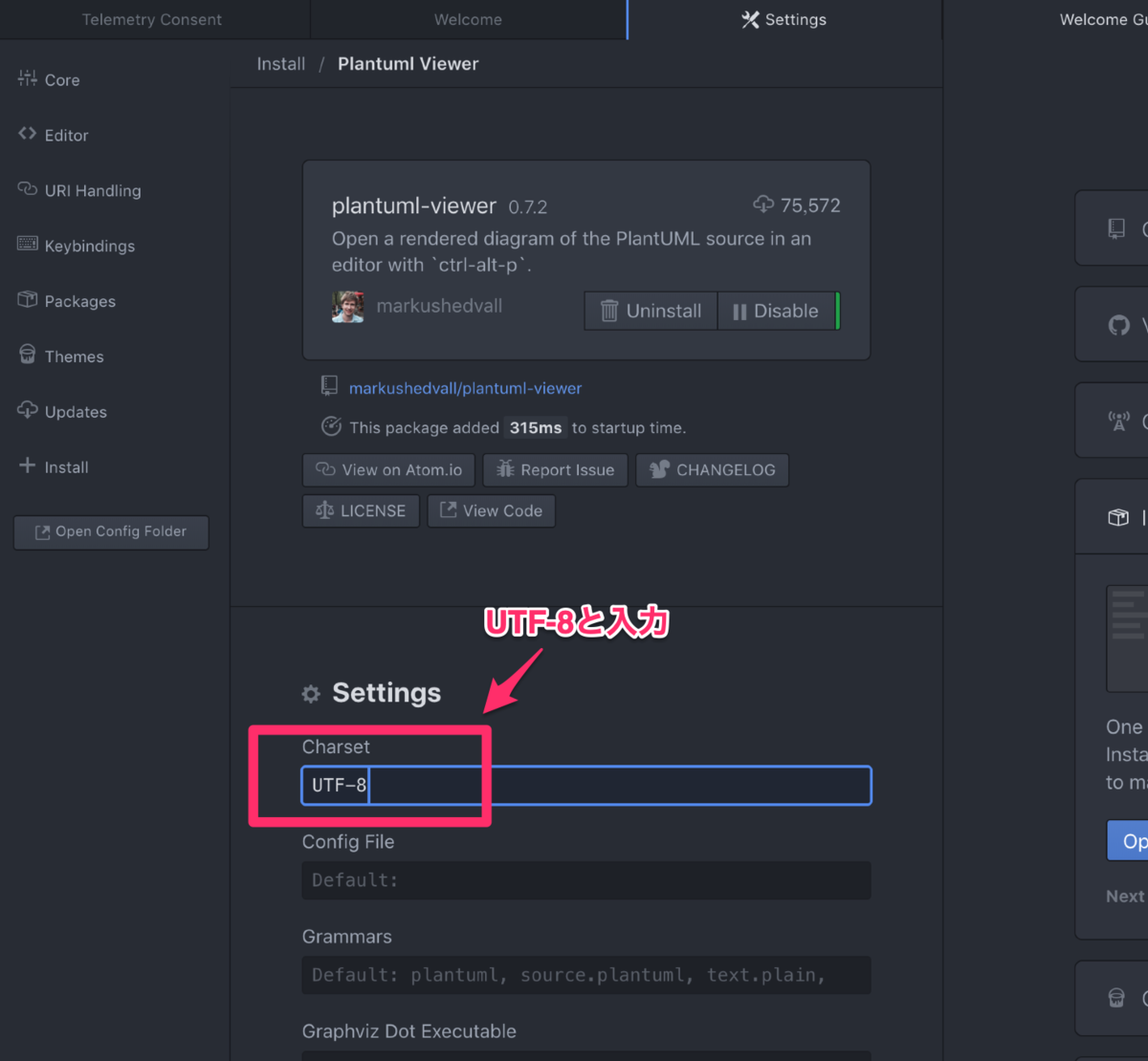 f:id:oz1215:20200123165130p:plain f:id:oz1215:20200123165130p:plain