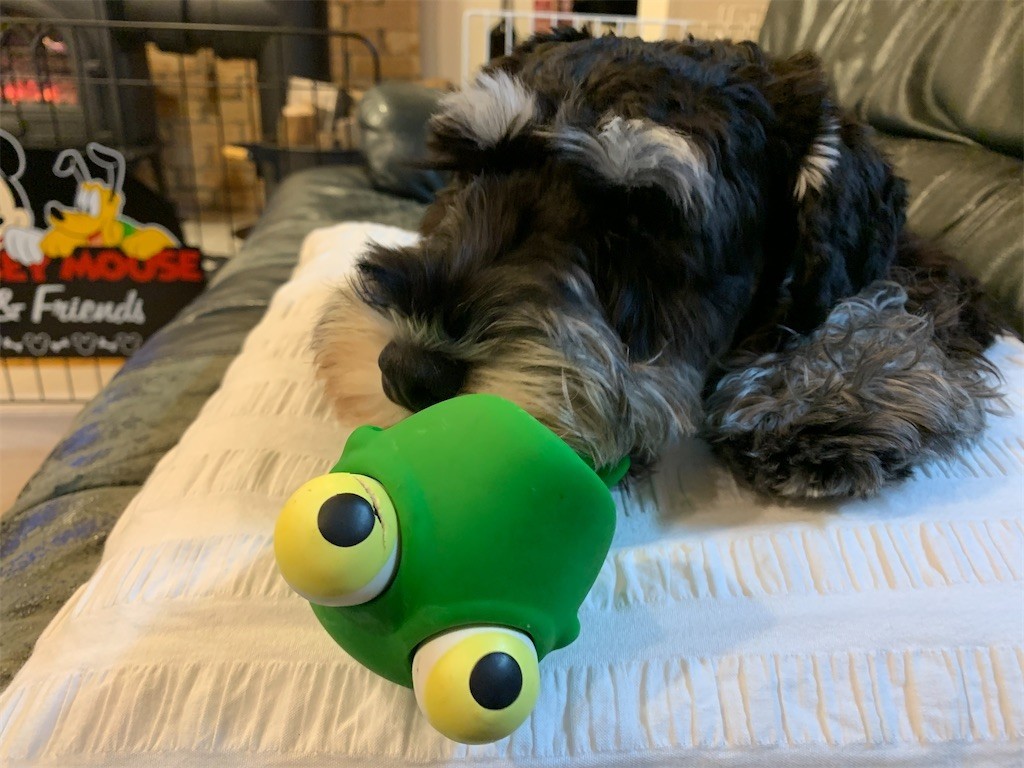 f:id:ozako:20210116195942j:image