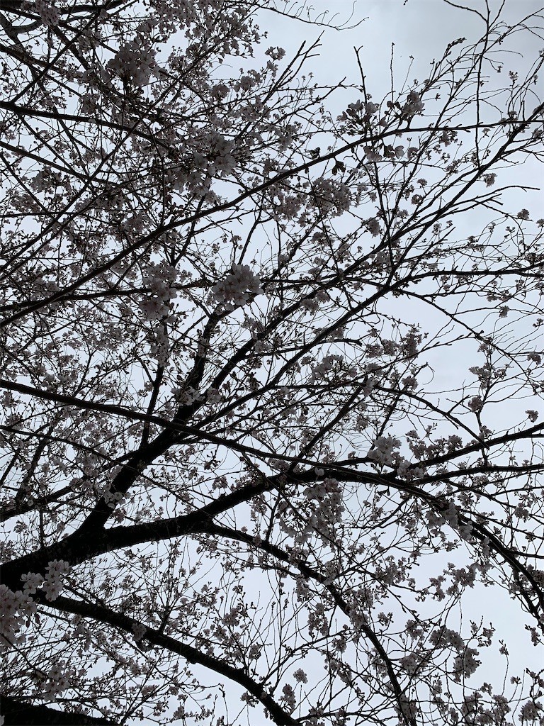 f:id:ozako:20210322181228j:image