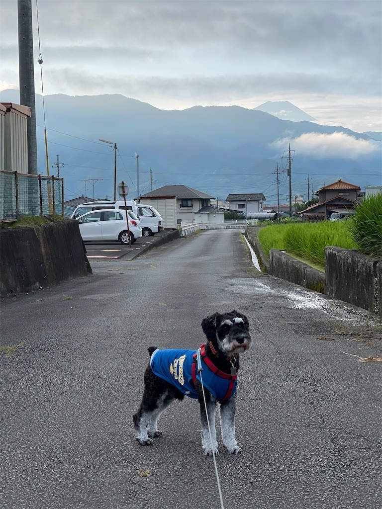 f:id:ozako:20210728171042j:plain