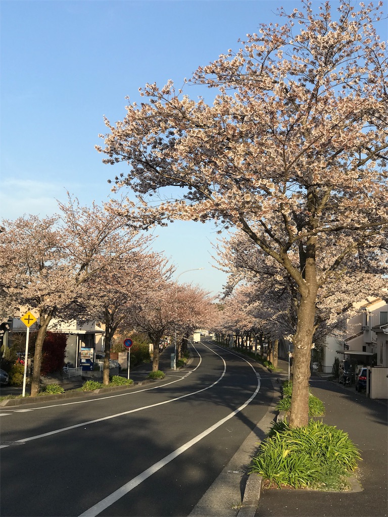 f:id:ozc1250tokyo:20190405200224j:image