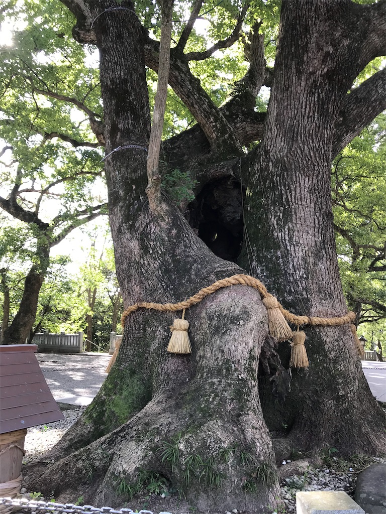 f:id:ozc1250tokyo:20191016232234j:image