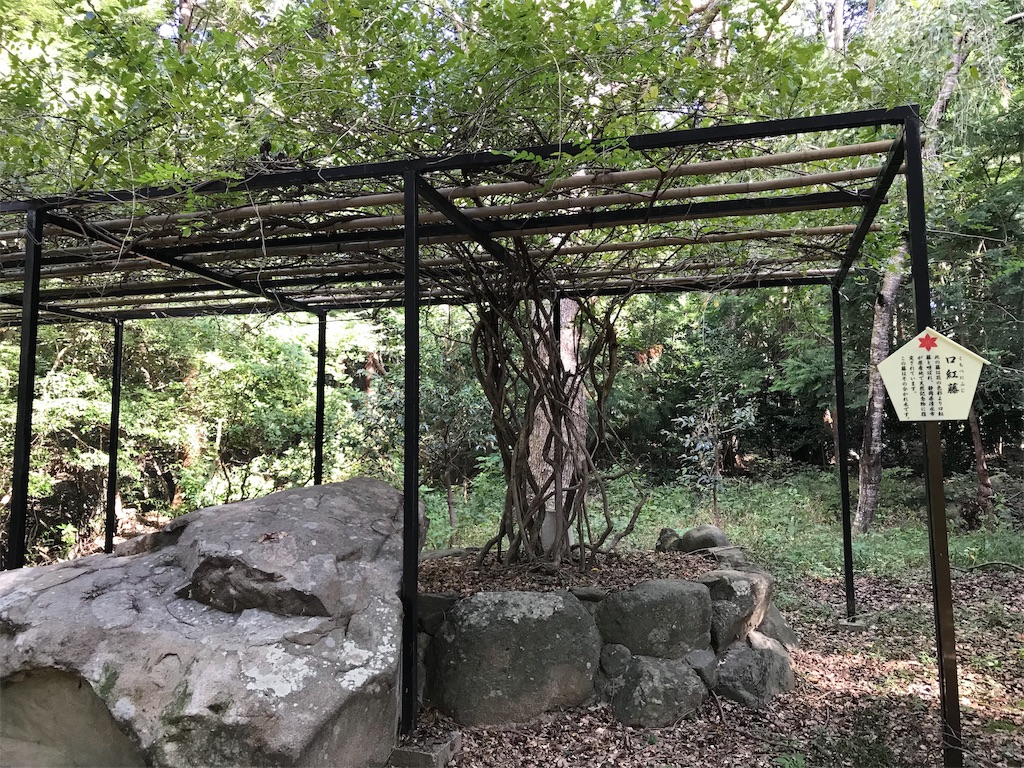 f:id:ozc1250tokyo:20191017084238j:image