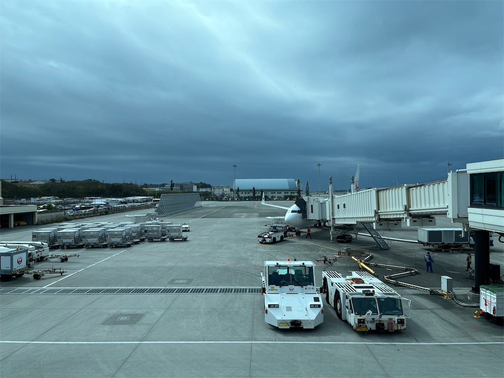f:id:ozc1250tokyo:20250218110204j:image
