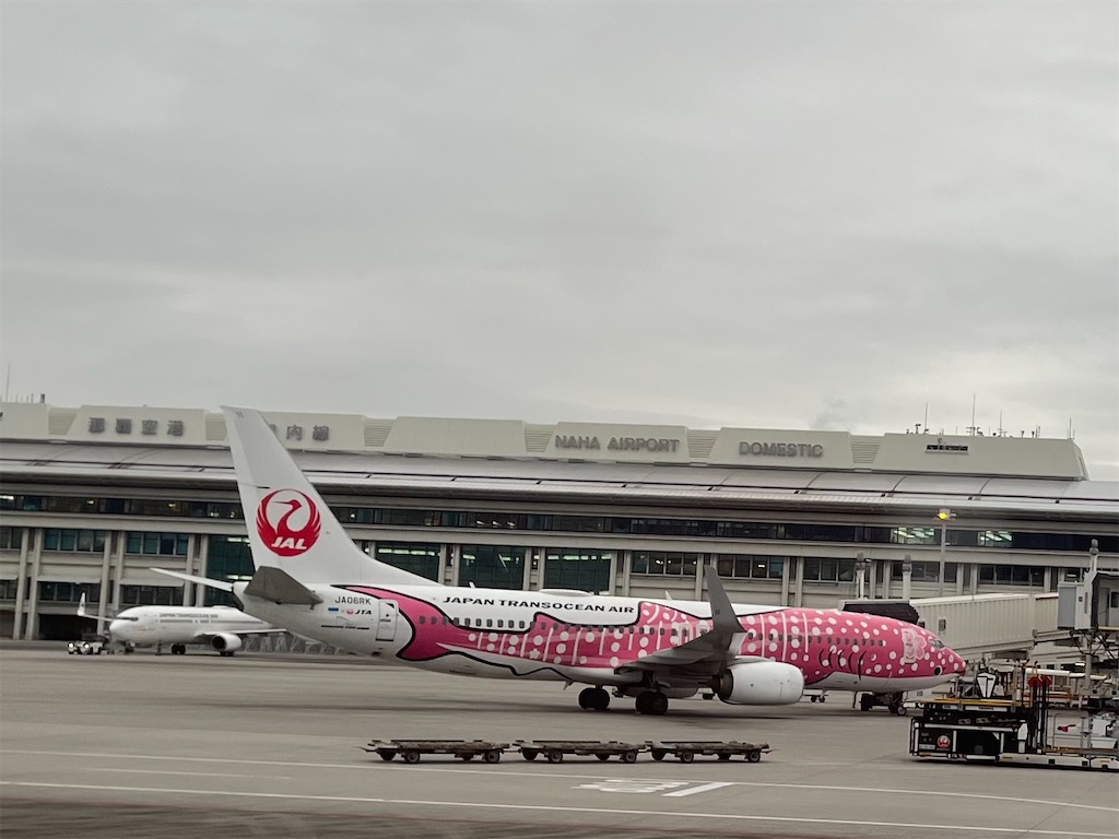 f:id:ozc1250tokyo:20250306071551j:image