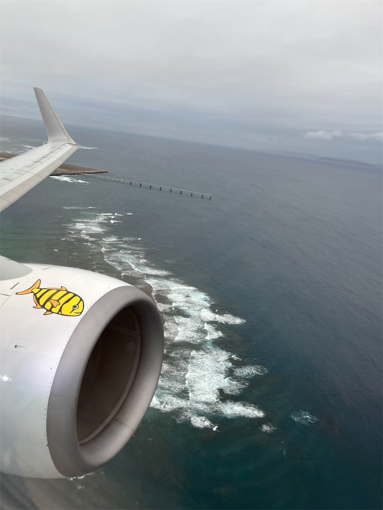 f:id:ozc1250tokyo:20250306071850j:image