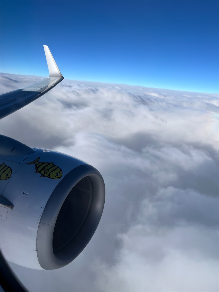 f:id:ozc1250tokyo:20250306073129j:image