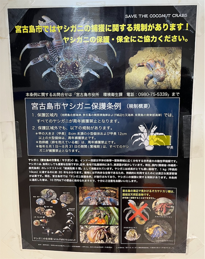 f:id:ozc1250tokyo:20250311184043j:image