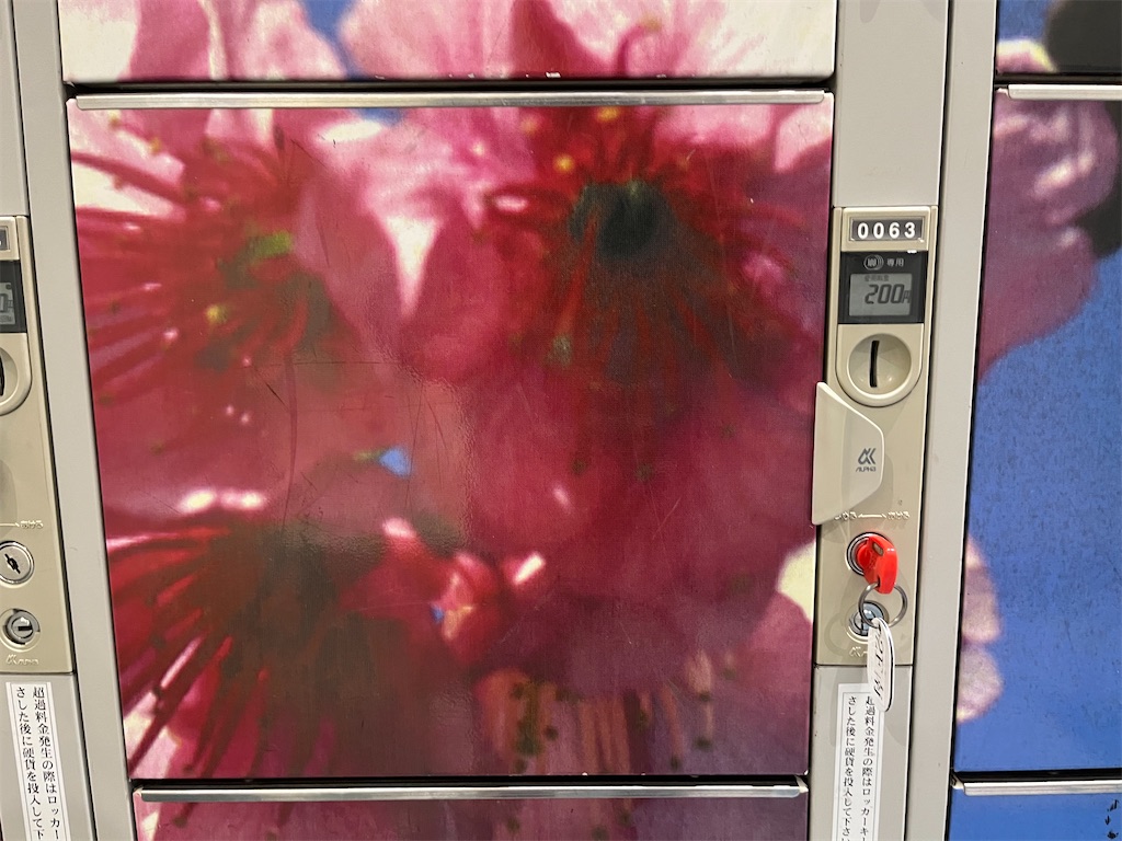 f:id:ozc1250tokyo:20250313064126j:image