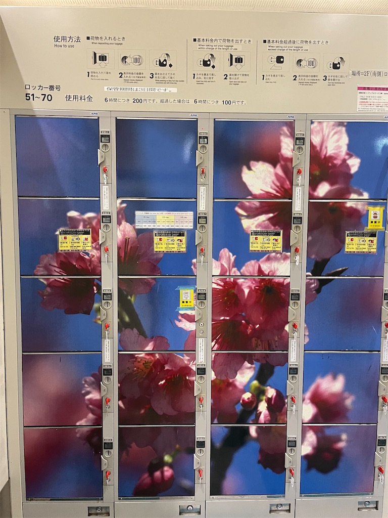 f:id:ozc1250tokyo:20250313064146j:image