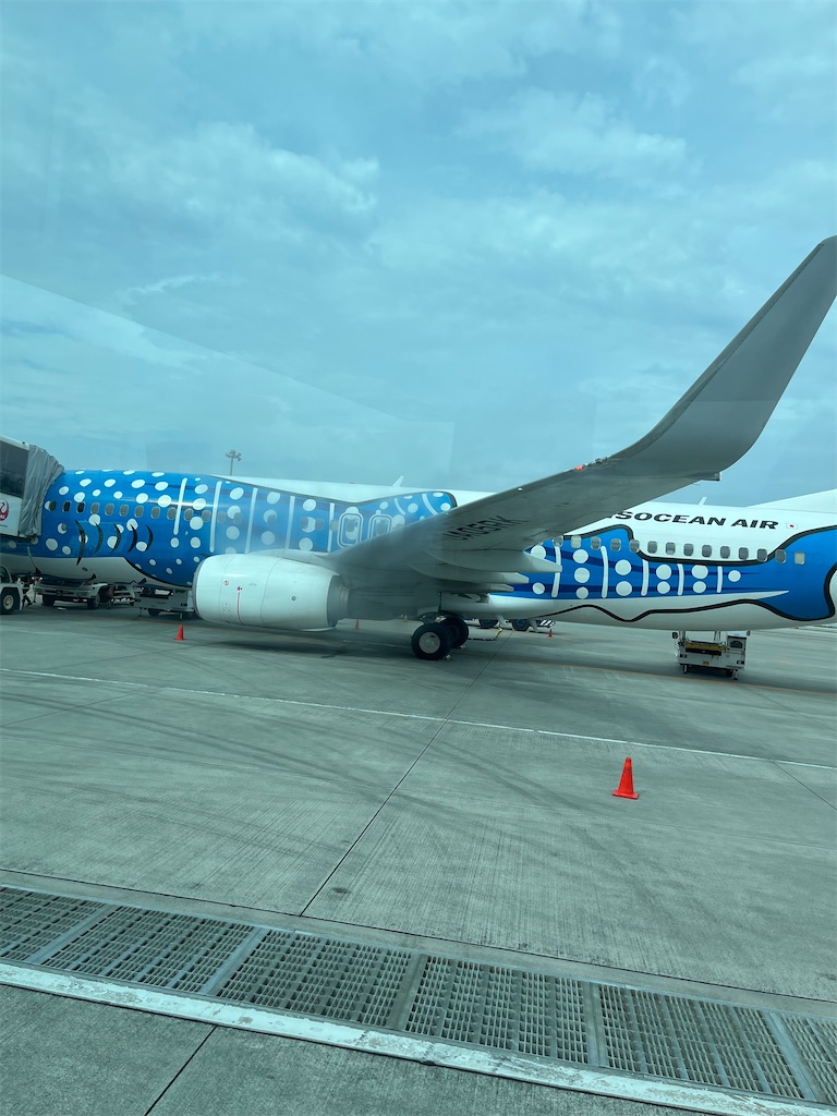 f:id:ozc1250tokyo:20250313105420j:image
