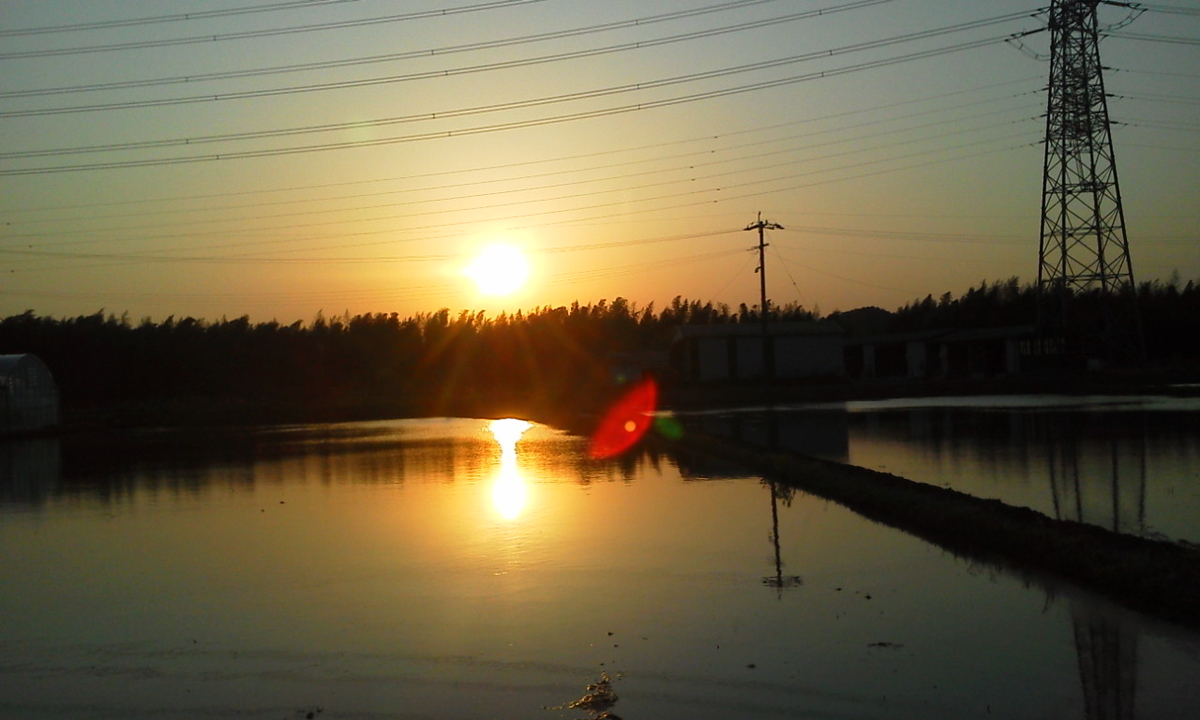 f:id:ozeken:20200430210707j:plain
