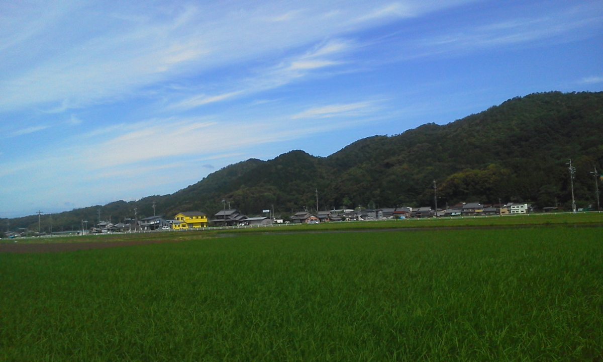 f:id:ozeken:20200620215413j:plain f:id:ozeken:20200620215413j:plain