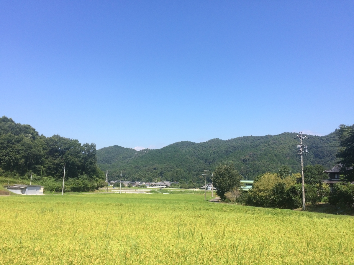 f:id:ozeken:20200815122020j:plain