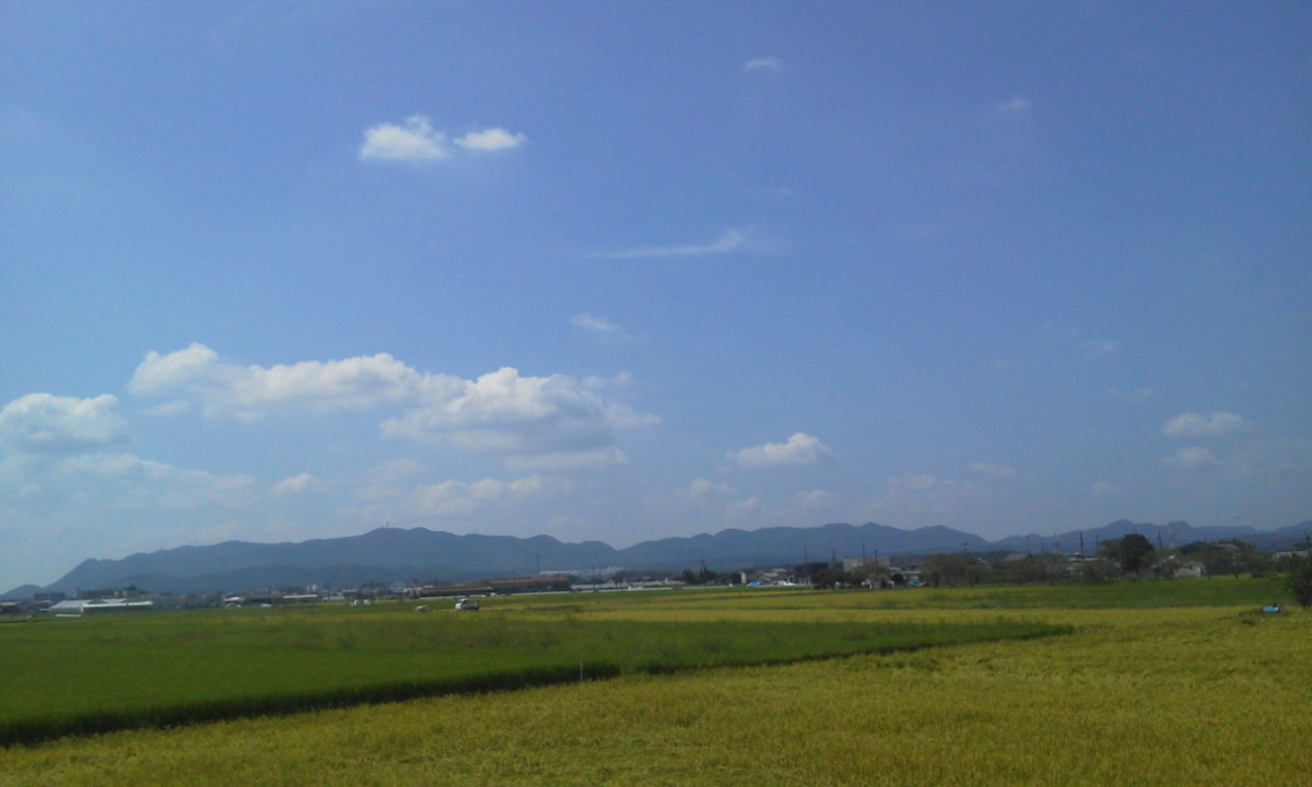 f:id:ozeken:20200830195341j:plain