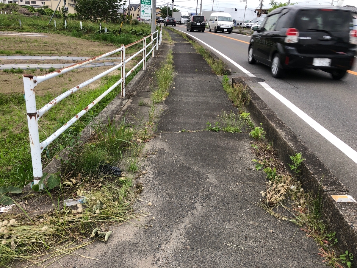 f:id:ozeken:20210512205705j:plain