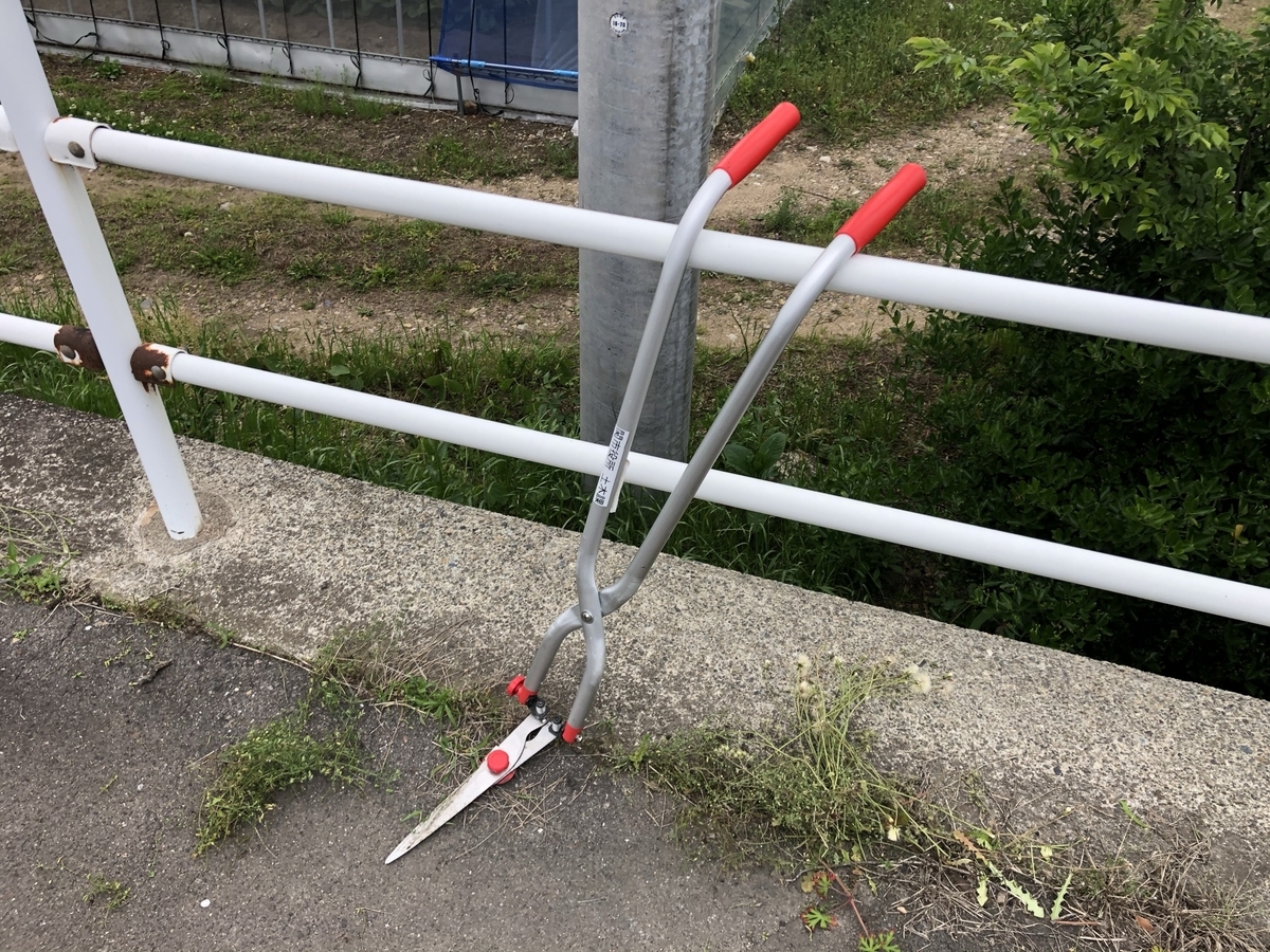 f:id:ozeken:20210512210006j:plain