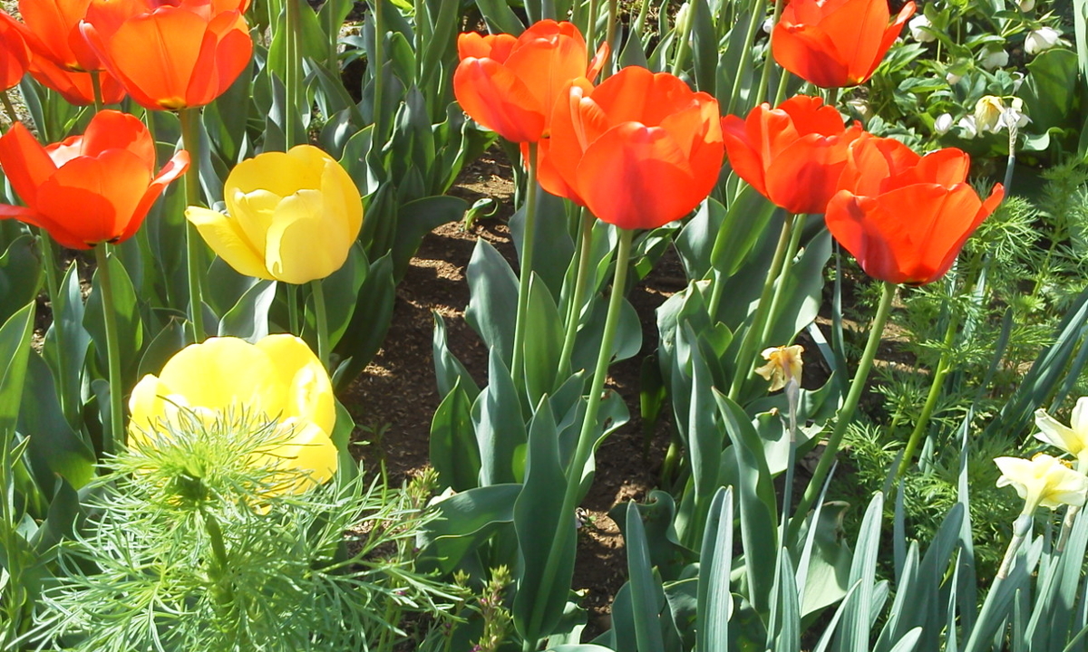 f:id:ozeken:20220409203742j:plain