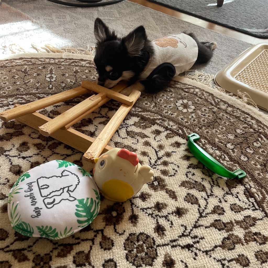 f:id:ozgurluk:20221030105712j:image