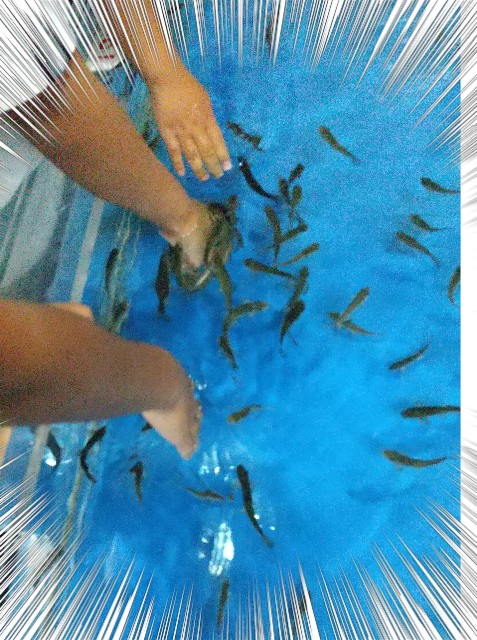 f:id:ozisanzu-papa:20200924205438j:plain