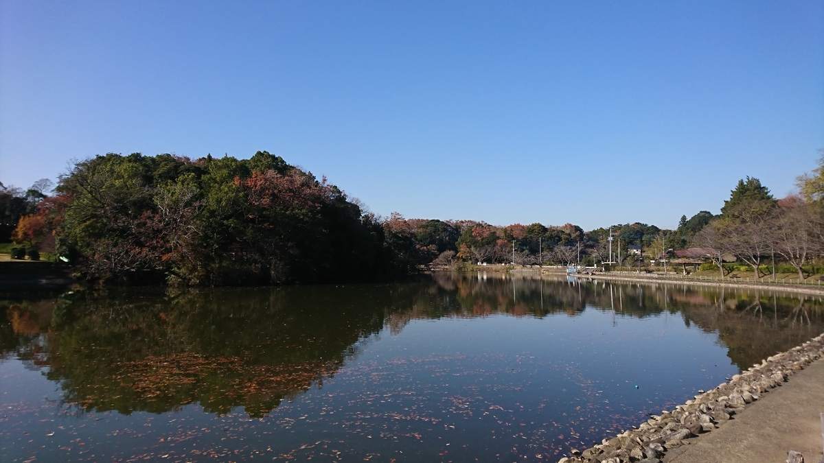 f:id:ozisun:20191212195602j:plain f:id:ozisun:20191212195602j:plain