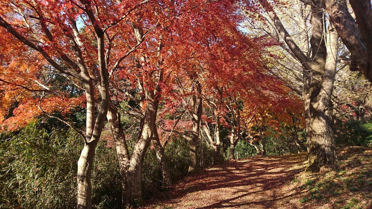 f:id:ozisun:20191212195611j:plain f:id:ozisun:20191212195611j:plain