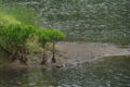 20090721093552
