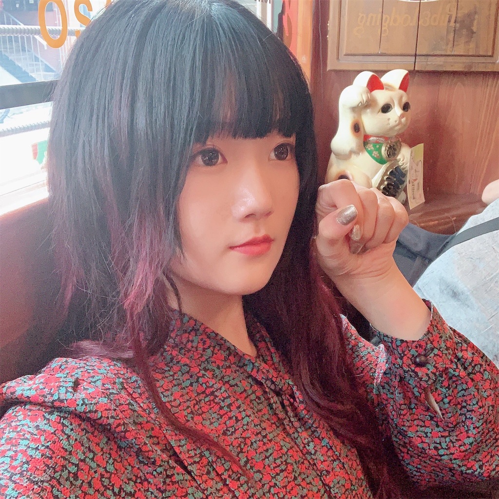 f:id:ozoi-171:20191031221210j:image f:id:ozoi-171:20191031221210j:image