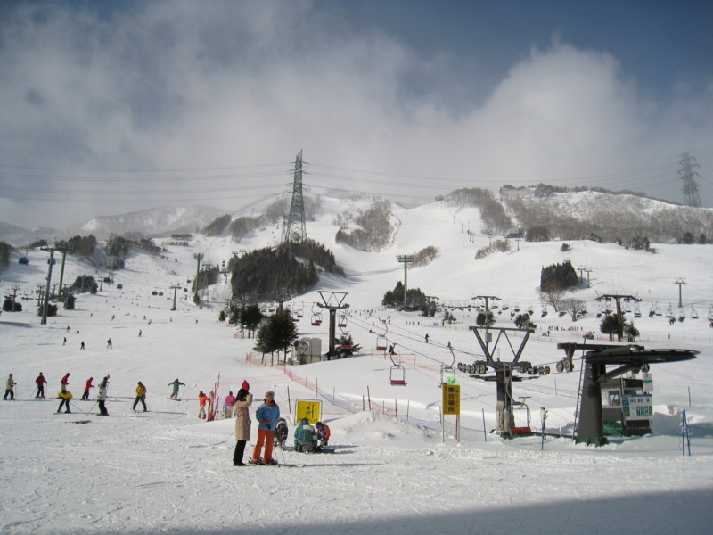 f:id:ozonekoubou:20090202100902j:image:w300:left