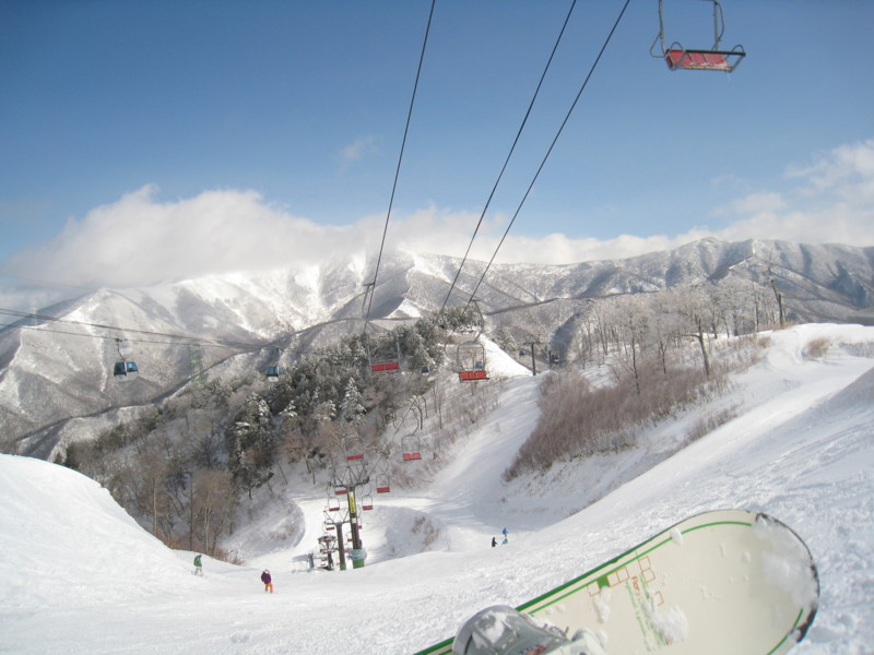f:id:ozonekoubou:20090202105818j:image:w500