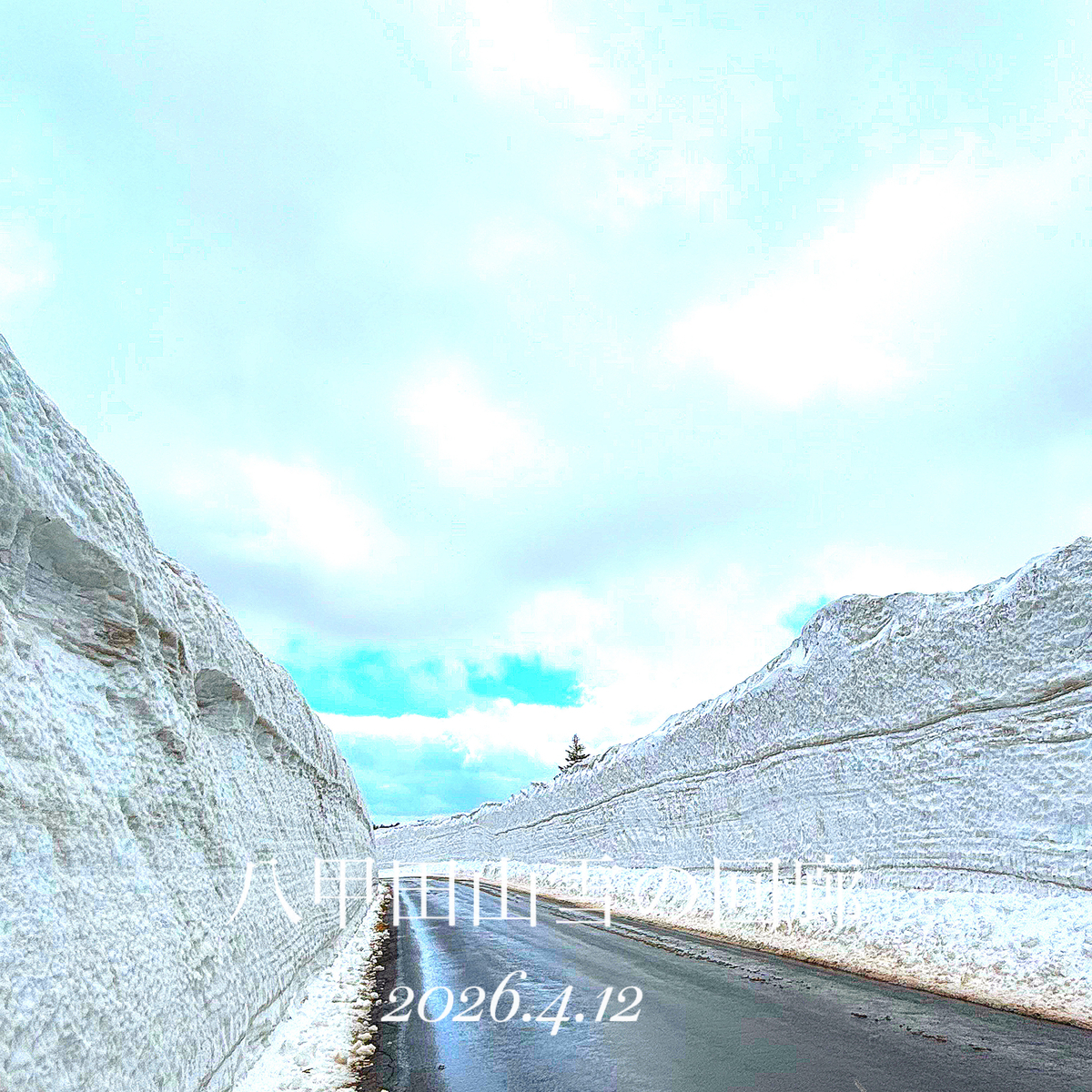 八甲田山 雪の回廊 - ozworks《棲家》