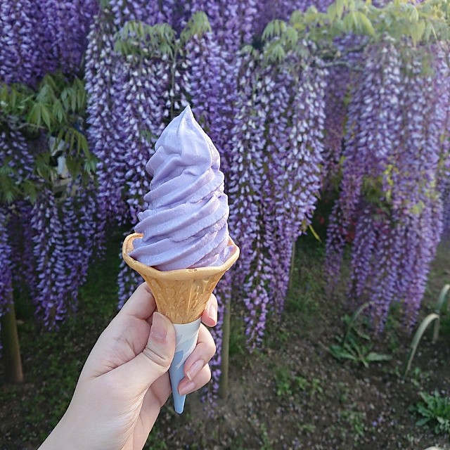 f:id:p-524yukinaga:20180422025335j:image f:id:p-524yukinaga:20180422025335j:image