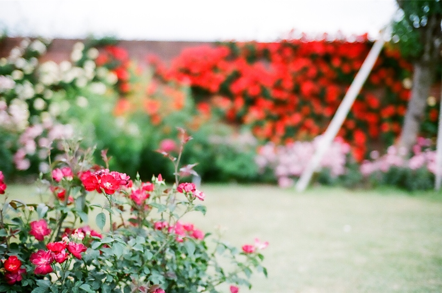 f:id:p-b-4:20190618101632j:image