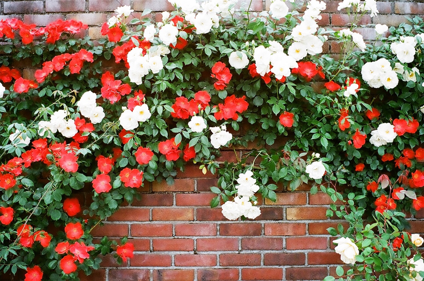 f:id:p-b-4:20190618101636j:image