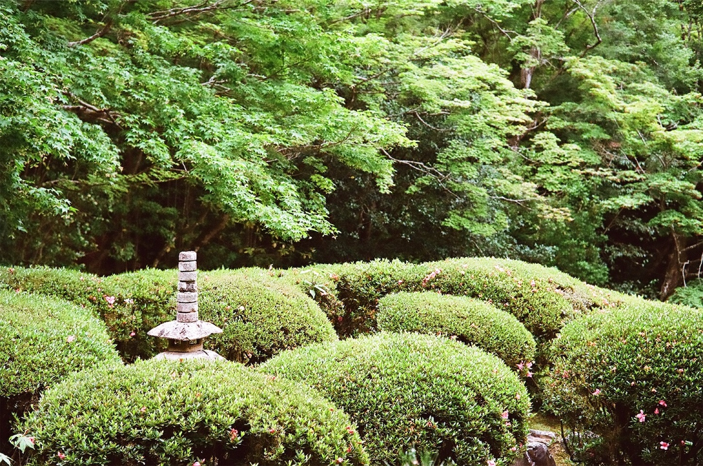 f:id:p-b-4:20190830013048j:image