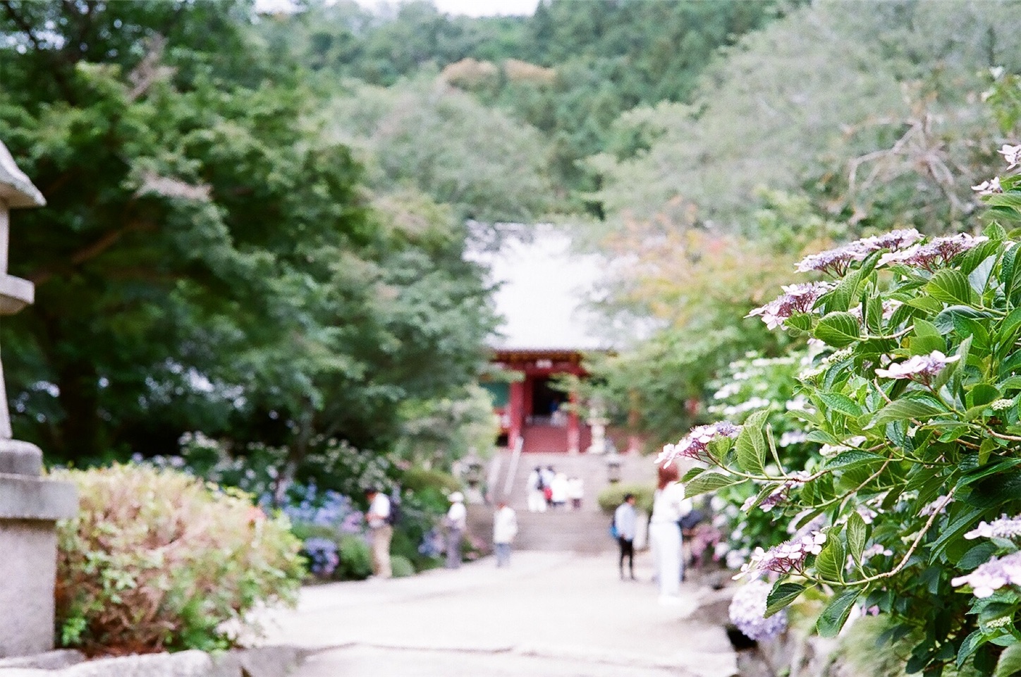 f:id:p-b-4:20190830013105j:image