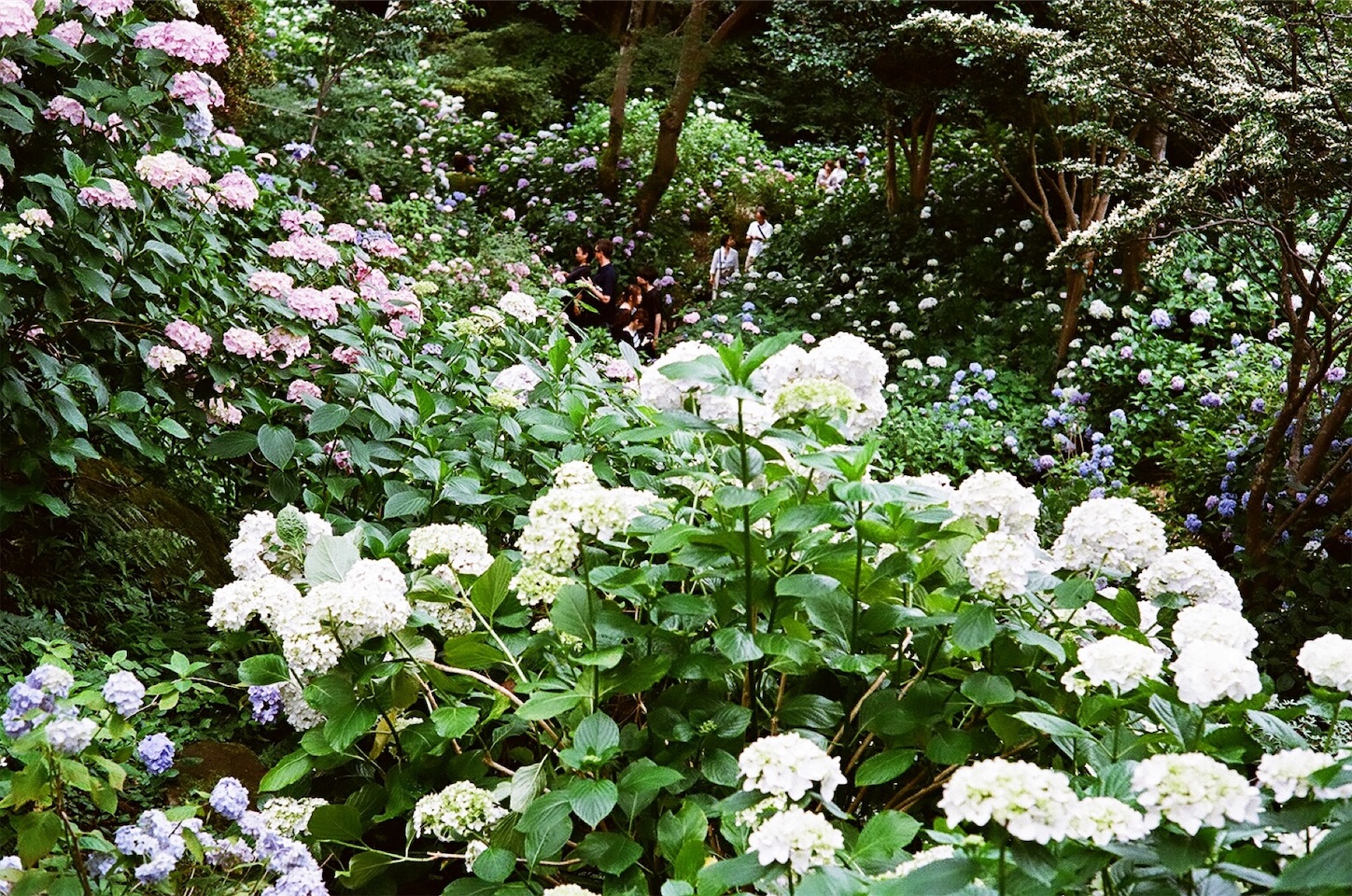 f:id:p-b-4:20190830013111j:image