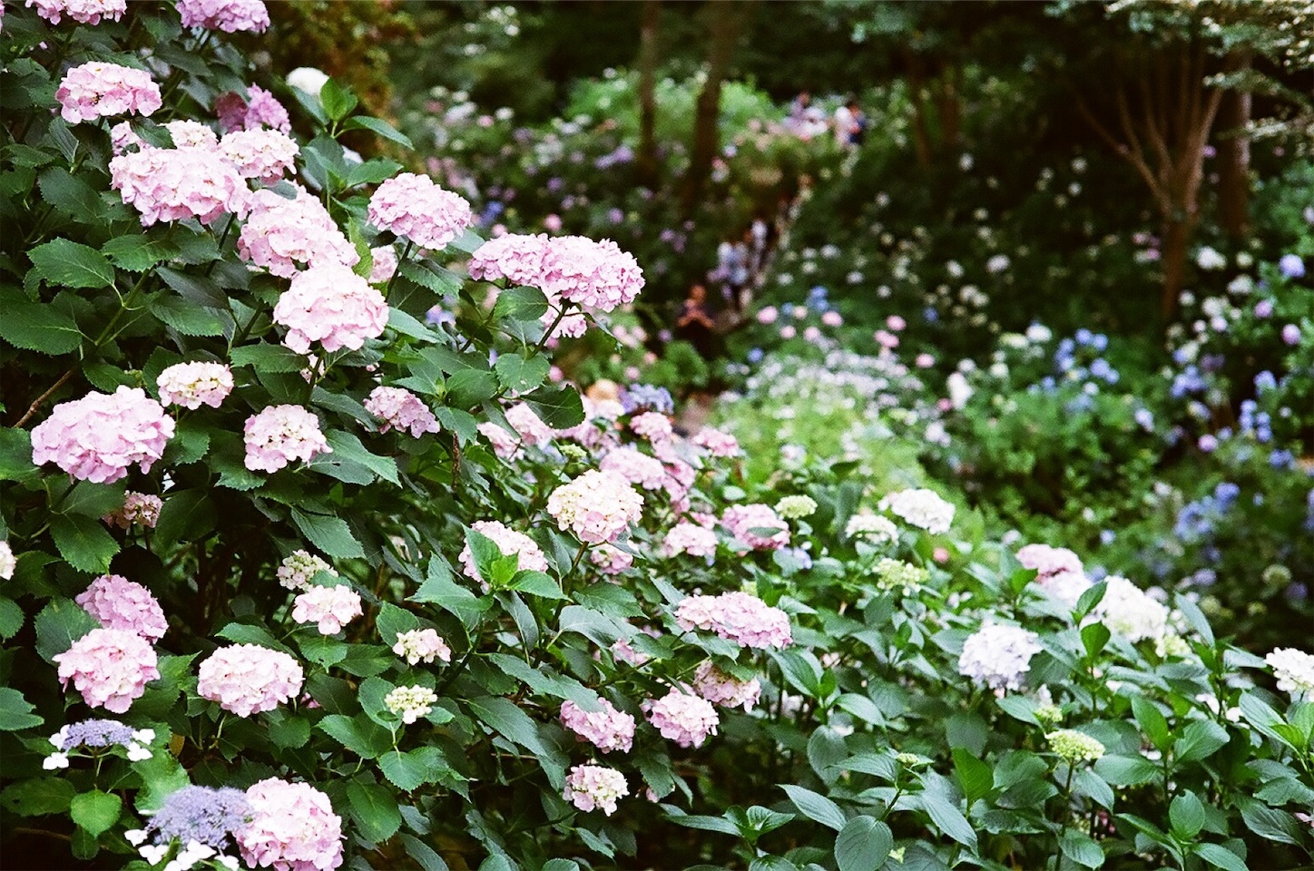 f:id:p-b-4:20190830013115j:image