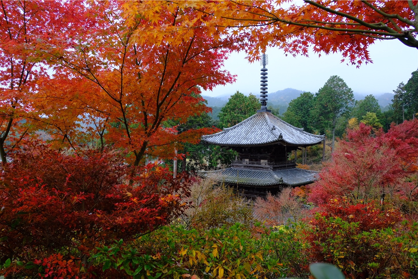 f:id:p-b-4:20191205092708j:image