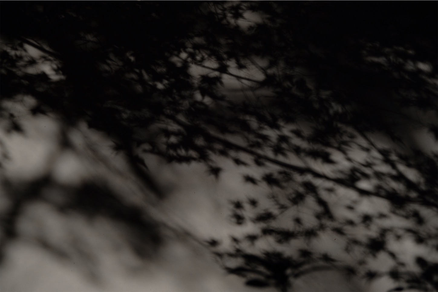 f:id:p-b-4:20191205092721j:image